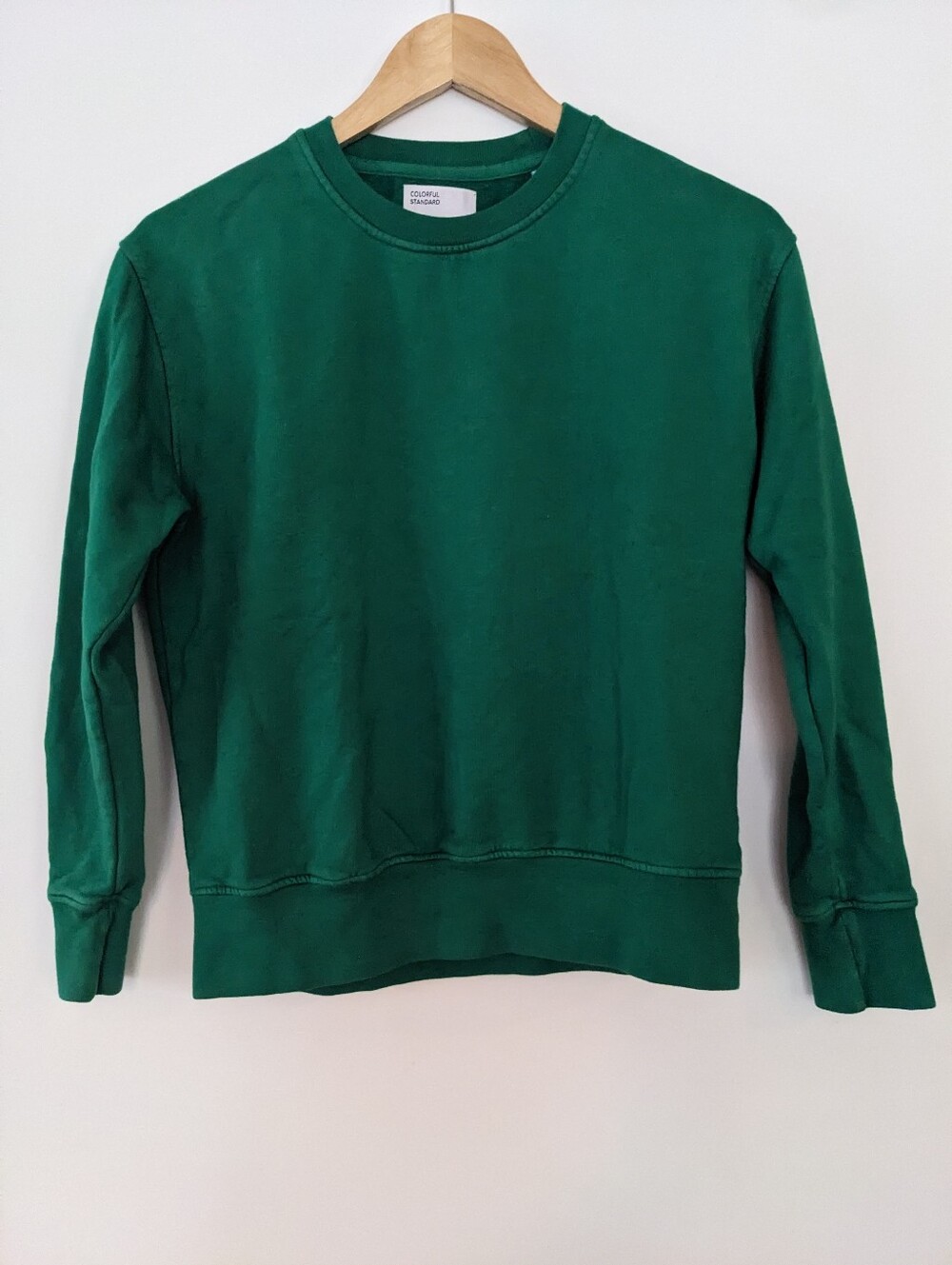 Colorful Standard Classic Crewneck Sweater In Kelly Green XS